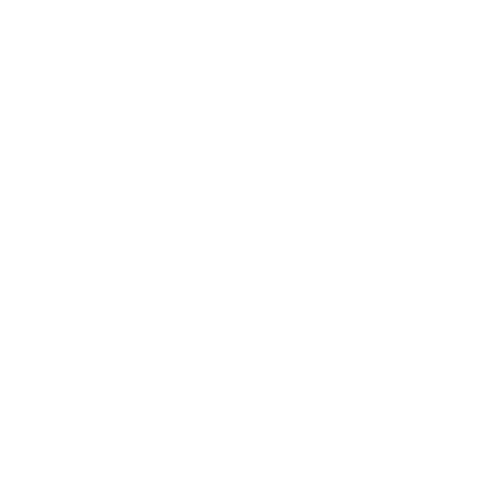 AV/L Logo